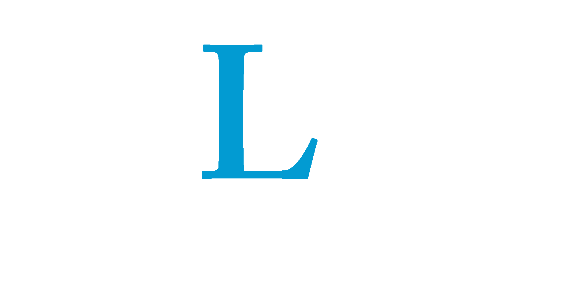 QLM — Your Skilled Service Provider